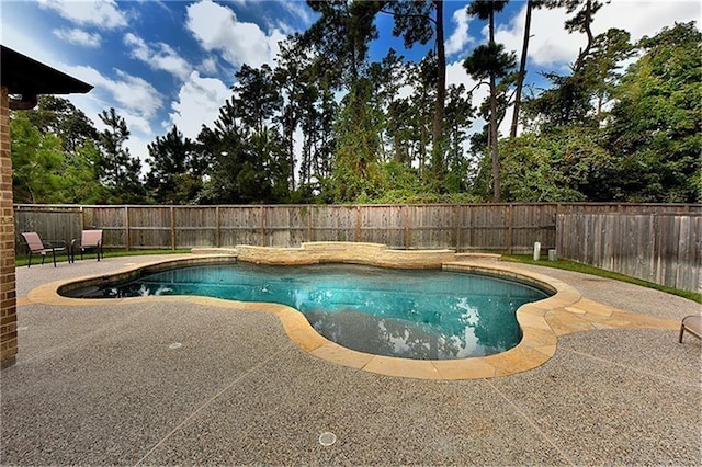 view of swimming pool with a patio area