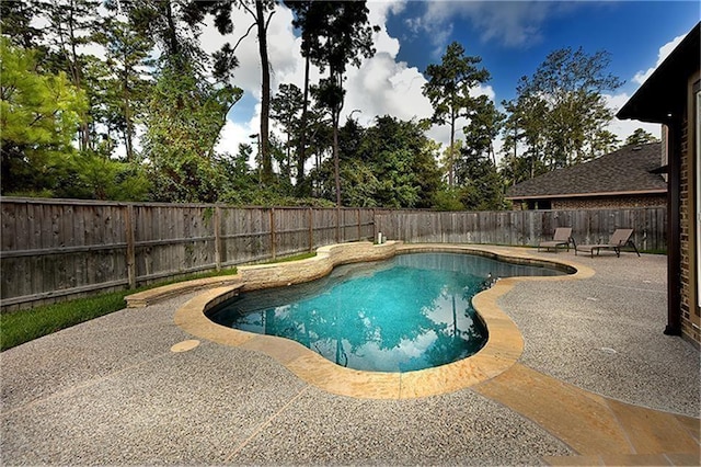 view of swimming pool with a patio area