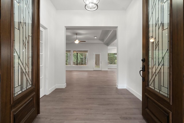 entrance foyer with wood-type flooring and a raised ceiling