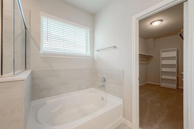 bathroom with a bathing tub