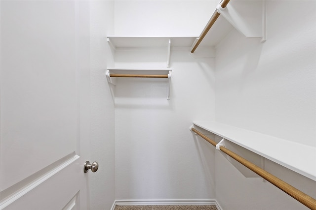 view of walk in closet