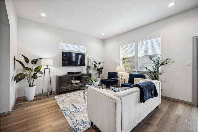 living room featuring hardwood / wood-style floors