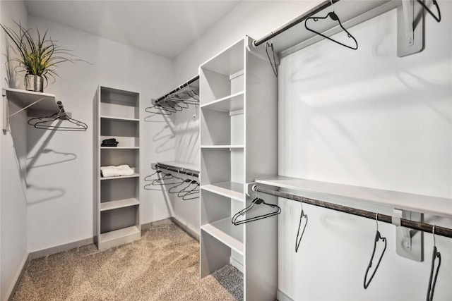 spacious closet with light carpet