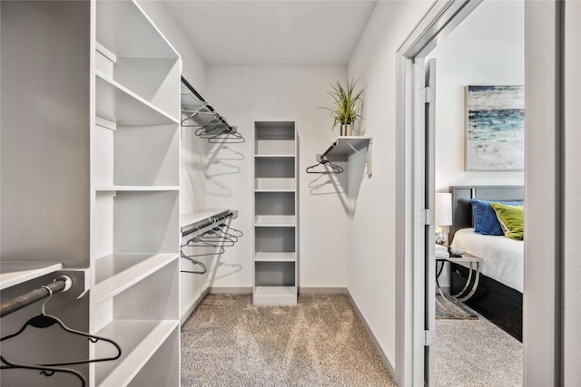 walk in closet with carpet floors