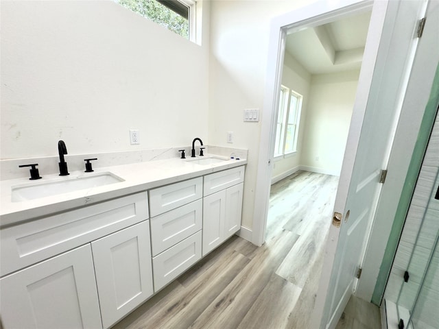 bathroom with vanity and hardwood / wood-style flooring