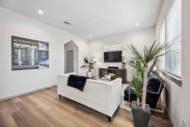 living room featuring hardwood / wood-style floors