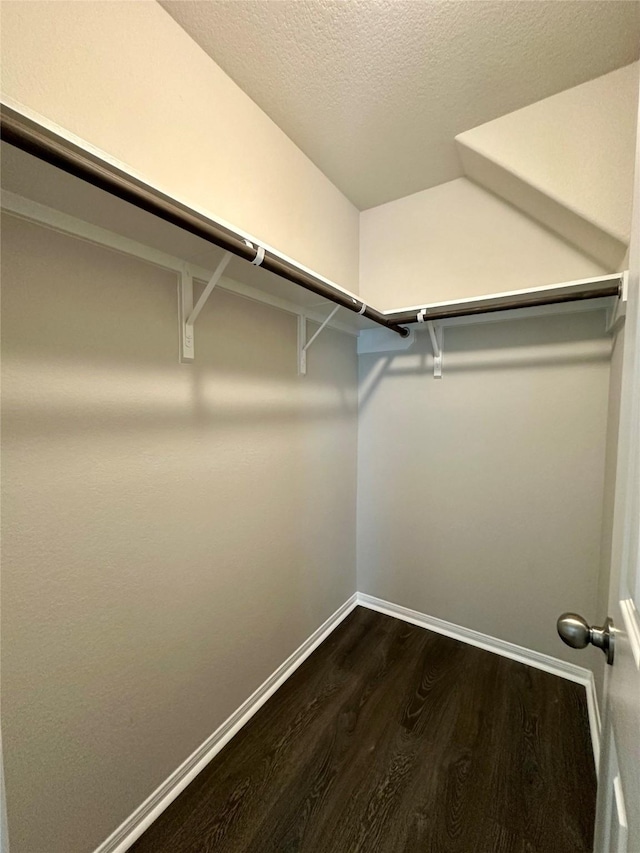 spacious closet featuring dark wood-type flooring