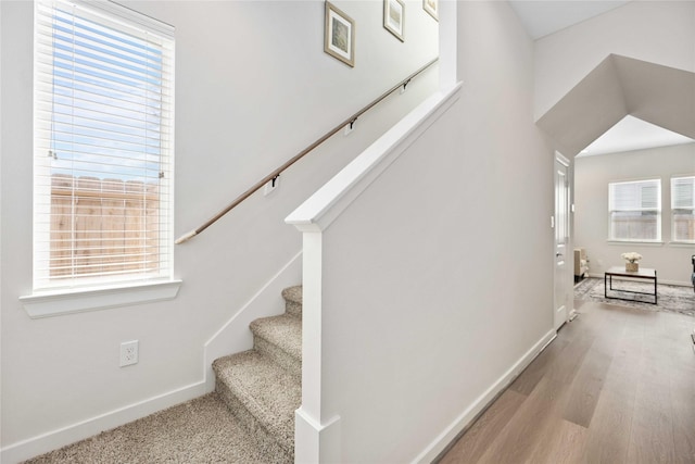 staircase with hardwood / wood-style flooring