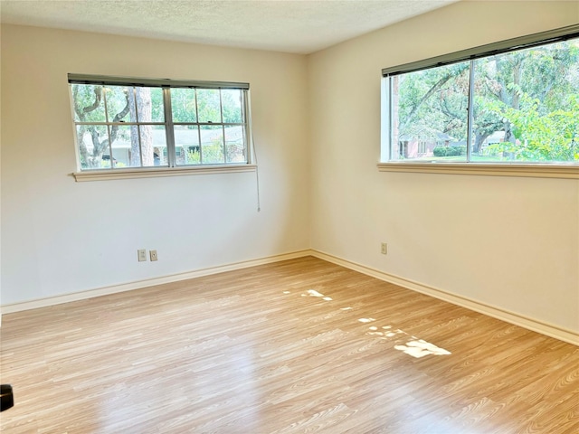 unfurnished room featuring light hardwood / wood-style flooring and a textured ceiling