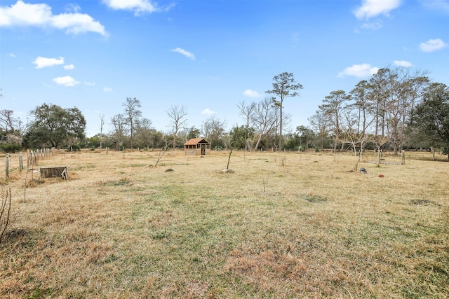 view of yard with a rural view