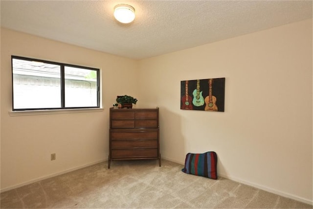 sitting room with light carpet and a textured ceiling