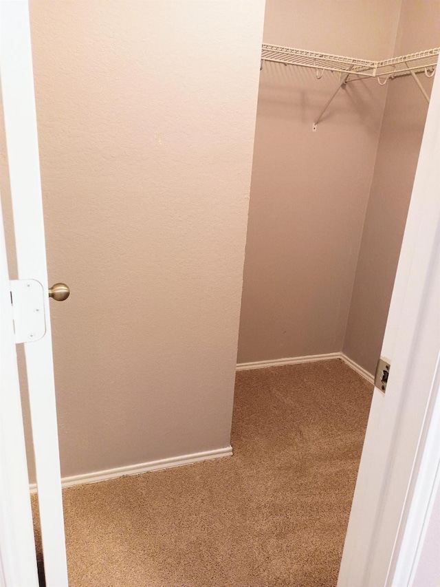 spacious closet featuring carpet floors