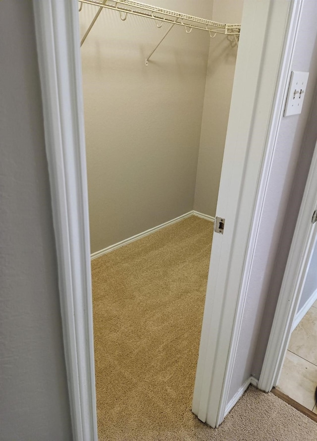 walk in closet with carpet