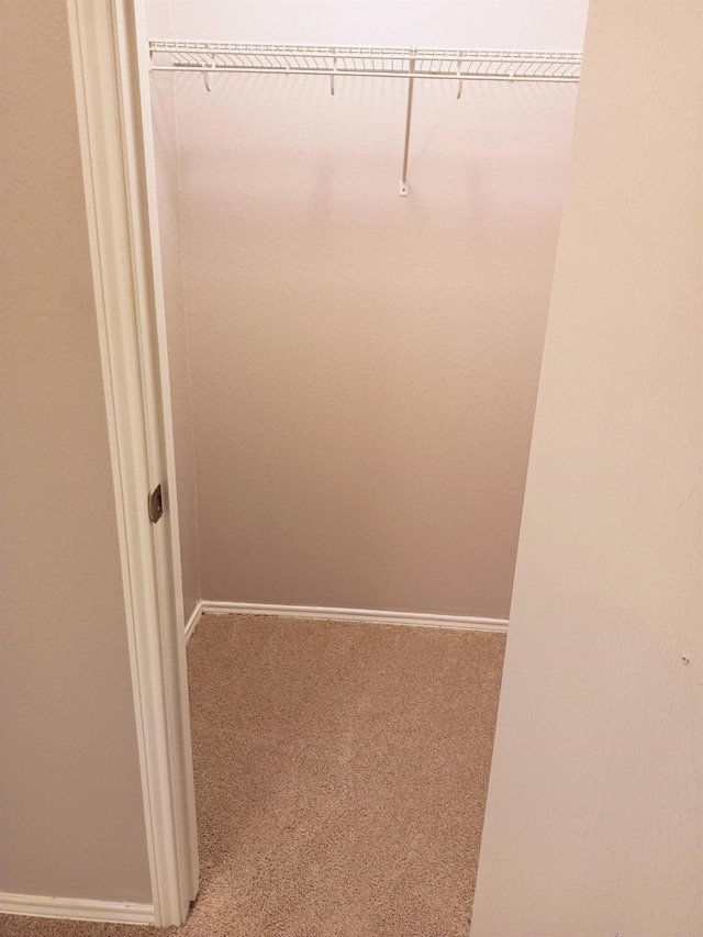 spacious closet with carpet flooring