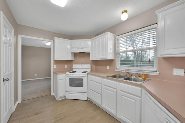 kitchen featuring white cabinetry, white appliances, sink, and light hardwood / wood-style flooring