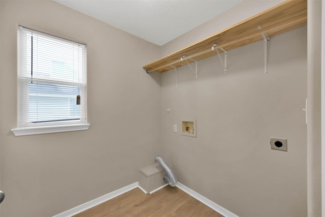 laundry room featuring hookup for a washing machine, hookup for an electric dryer, and light hardwood / wood-style floors