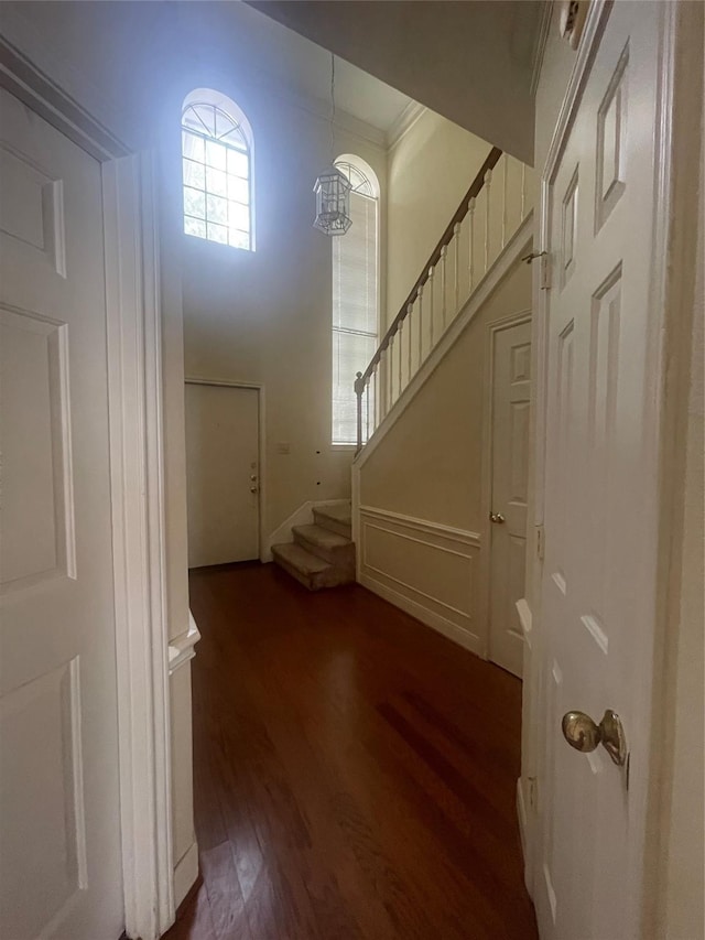 foyer with ornamental molding and dark hardwood / wood-style floors