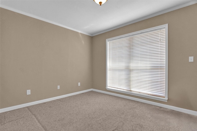 carpeted spare room featuring ornamental molding