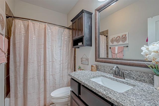 bathroom with toilet and vanity