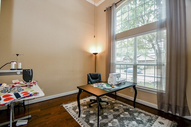 office area featuring plenty of natural light and dark hardwood / wood-style floors