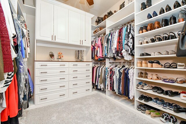 spacious closet featuring light carpet