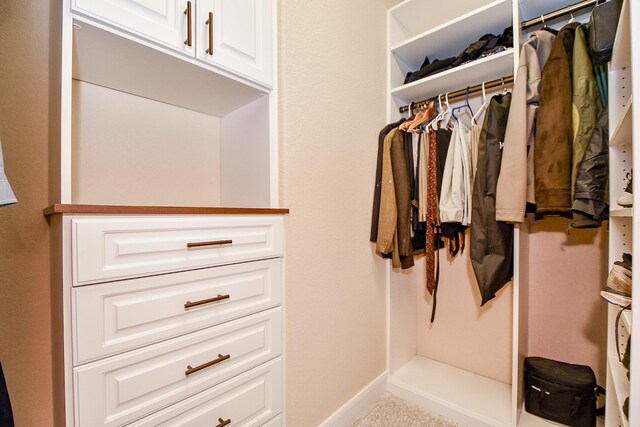 view of spacious closet