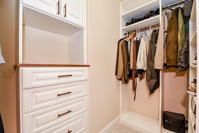 view of spacious closet