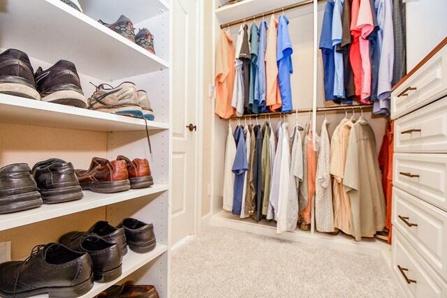 walk in closet with carpet floors