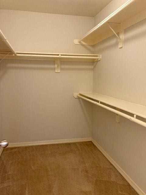 spacious closet with carpet flooring