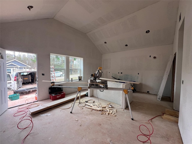 miscellaneous room featuring high vaulted ceiling