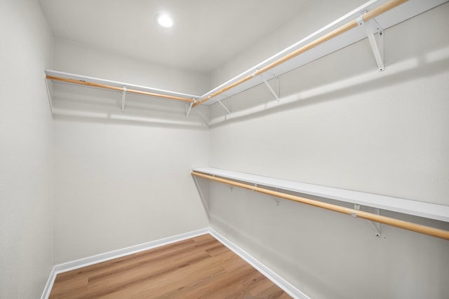 walk in closet featuring wood-type flooring