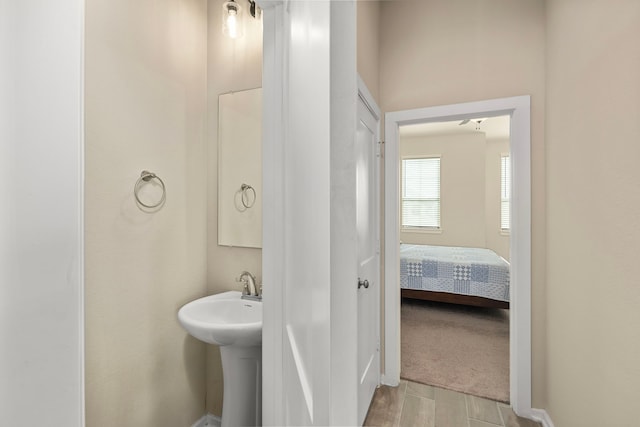 bathroom featuring wood-type flooring