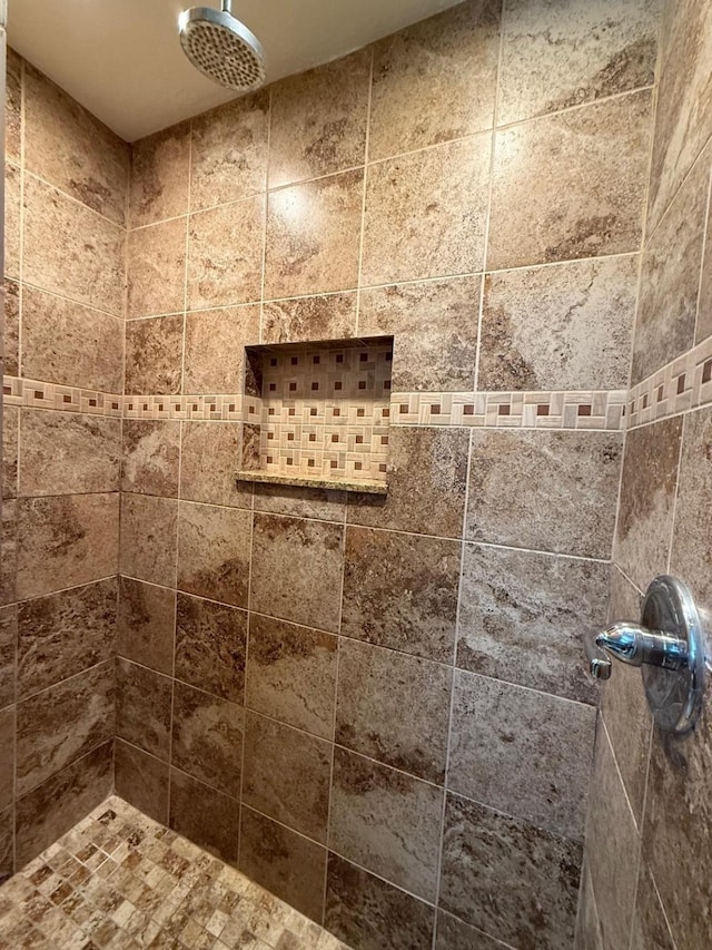 interior details with tiled shower