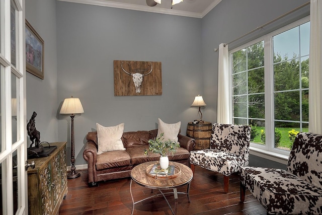 living room featuring crown molding and dark wood-type flooring