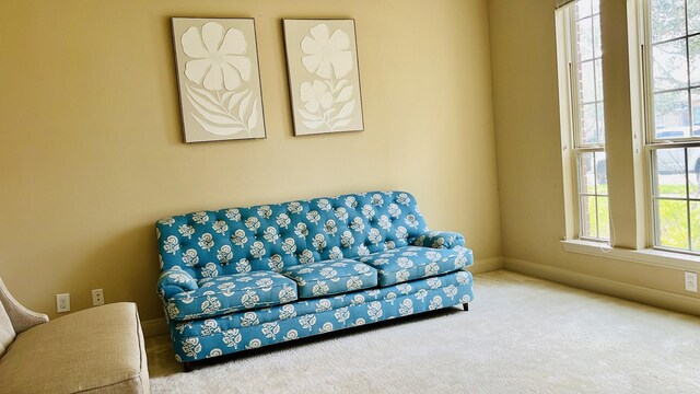 sitting room with carpet flooring