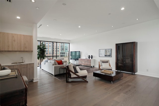 living room with sink and dark wood-type flooring