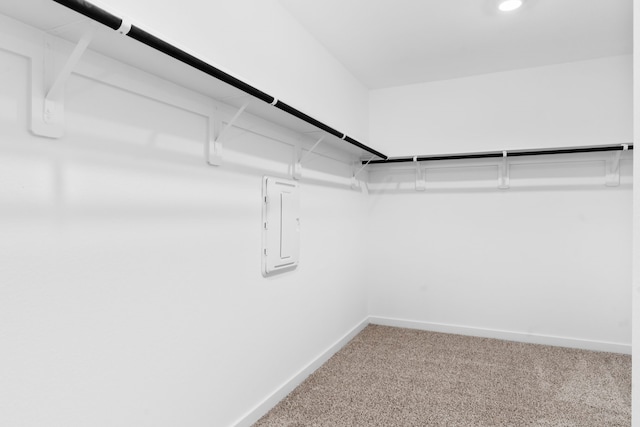 walk in closet featuring electric panel and carpet flooring