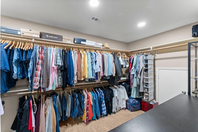 view of walk in closet