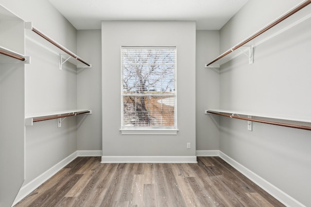 walk in closet with hardwood / wood-style flooring