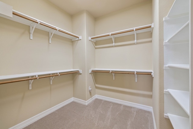 walk in closet with carpet floors