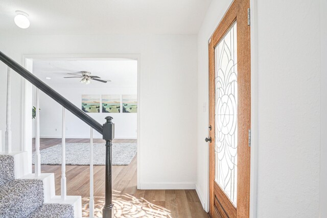 entrance foyer with hardwood / wood-style floors and plenty of natural light