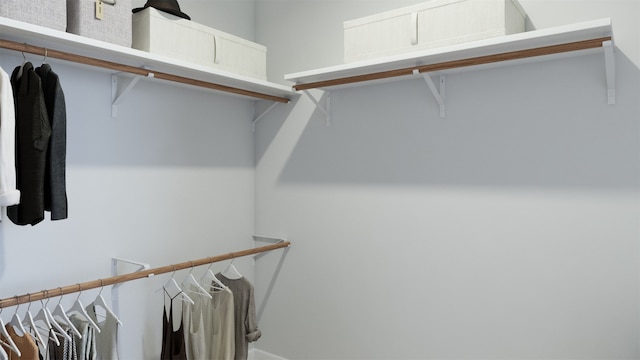 view of spacious closet