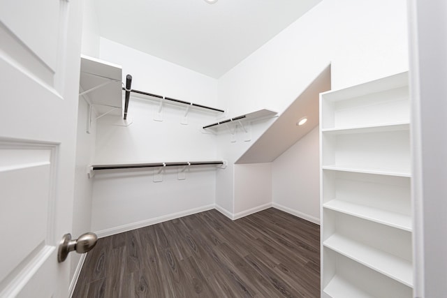 spacious closet with dark wood-style floors