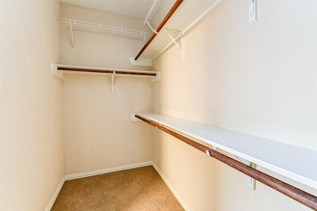 spacious closet with carpet floors