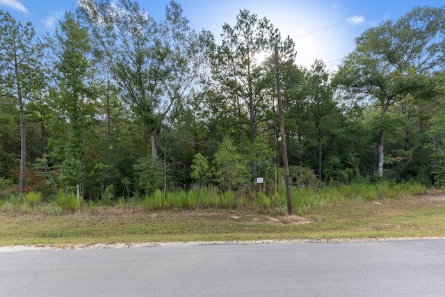 Listing photo 3 for 12-28-22 Fluorite Ct, Huntsville TX 77340