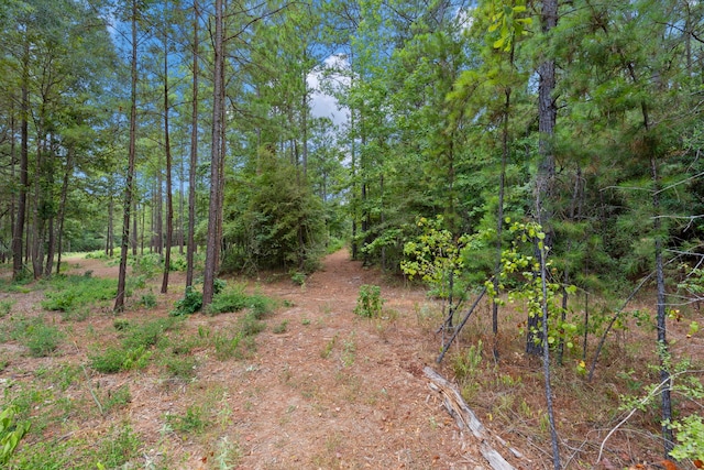 12-28-22 Fluorite Ct, Huntsville, TX 77340