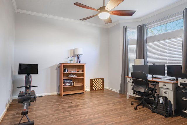 office featuring crown molding, ceiling fan, and light wood-type flooring