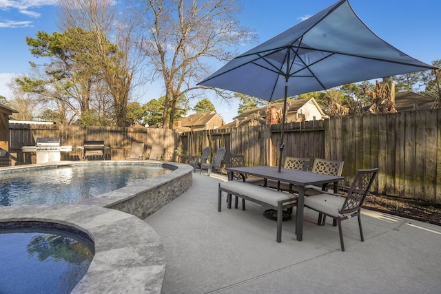 view of pool with exterior kitchen and a patio area