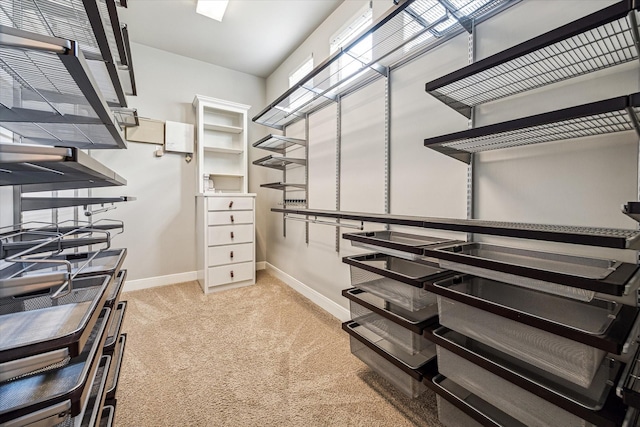 walk in closet featuring light colored carpet