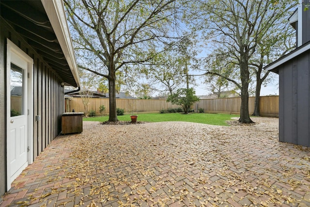 view of yard featuring a patio area